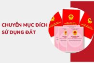 Về việc cho phép chuyển mục đích sử dụng đất Nguyễn Thị Liên