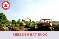 Quyết định về việc kiểm đếm bắt buộc